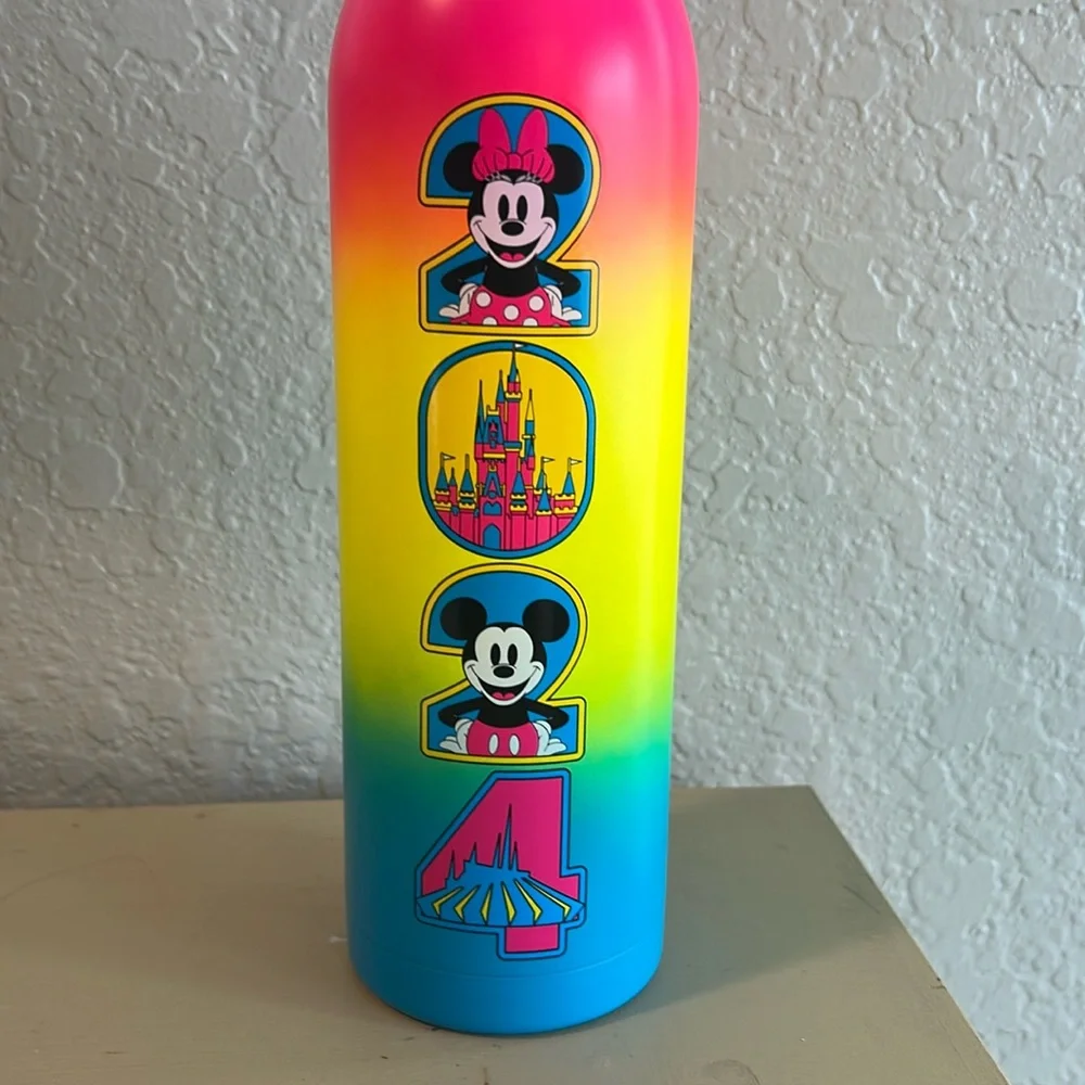 Disney Stainless Steel 20 Oz Water Bottle with Mickey and Minnie 2024.